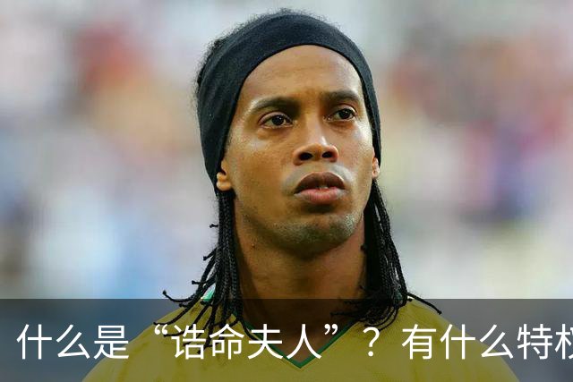 什么是“诰命夫人”?有什么特权和好处