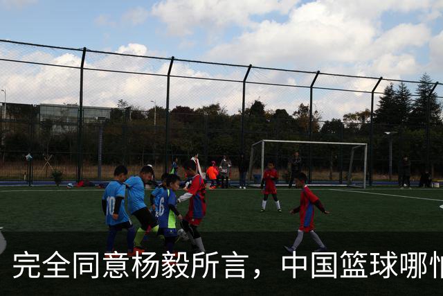 完全同意杨毅所言,中国篮球哪怕推倒重建也无济于事